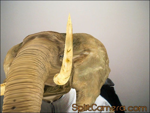 3d effect elephant