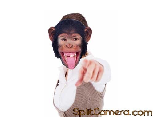 Monkey Mask Effect